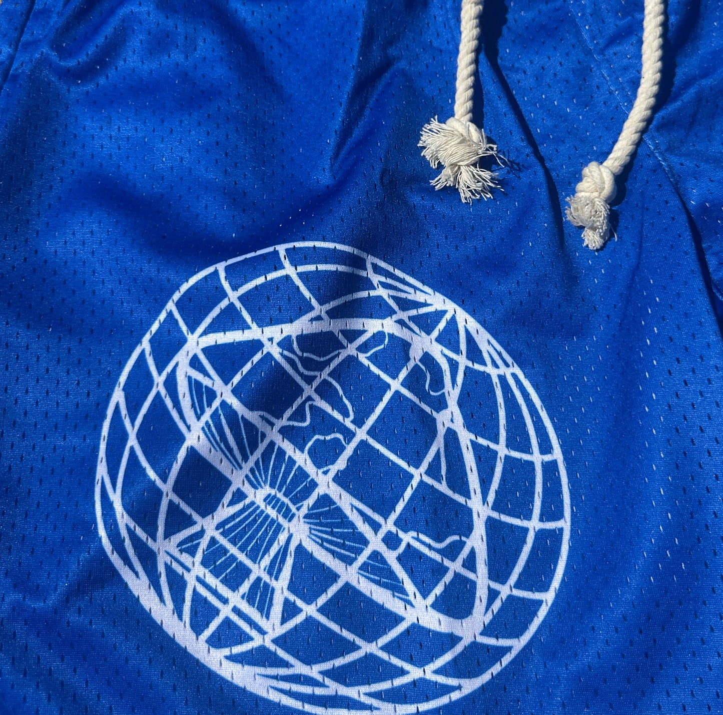 AnabolicEyE Score Shorts (Blue)