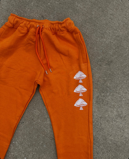 AnabolicEyE 9 Shroom Genesis (Orange)